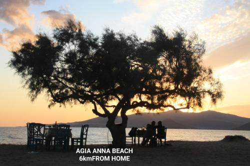 a tree on the beach with people sitting under it at Passa Corda Suites with amazing view in Galanado