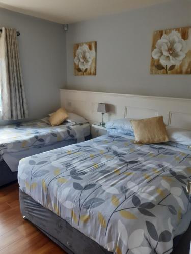 a bedroom with two beds and a window at Green Acres Guesthouse- Accommodation Only in Killarney