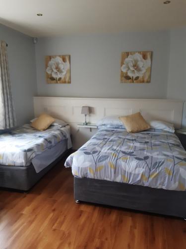 two beds in a bedroom with wooden floors at Green Acres Guesthouse- Accommodation Only in Killarney