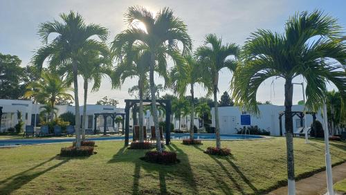 a park with palm trees in front of a pool at ADVENTURE House in Nancito
