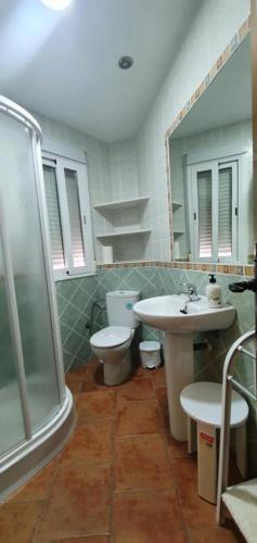 a bathroom with a toilet and a sink and a shower at Casa el corzo in La Iruela