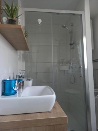 Ένα μπάνιο στο Premium Mobile Home LANA - Oaza Mira Camping