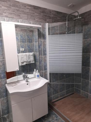 ein Bad mit einem Waschbecken, einem Spiegel und einer Dusche in der Unterkunft Bed and Breakfast Lovac in Kaldanija