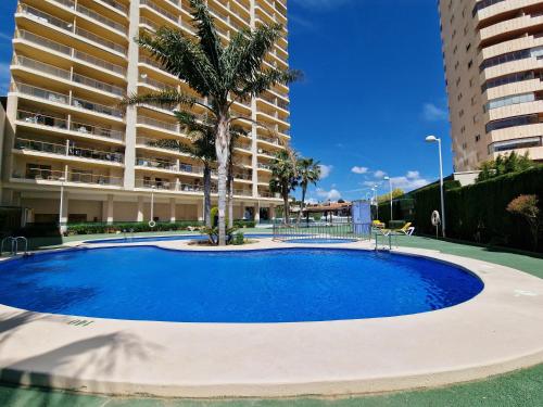 a large blue pool with a palm tree in front of a building at Flamenco Ambar Luxury Apartment 15 Planta in Calpe