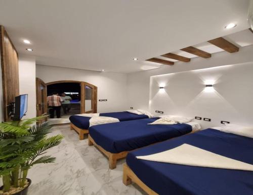 a room with four blue beds and a tv at Penguin Village Dahab in Dahab