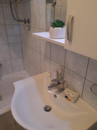 Koupelna v ubytování Apartman Posavac