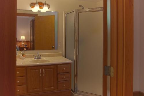 uma casa de banho com um lavatório e um espelho em Secluded Chalet - Pet Friendly em Columbus