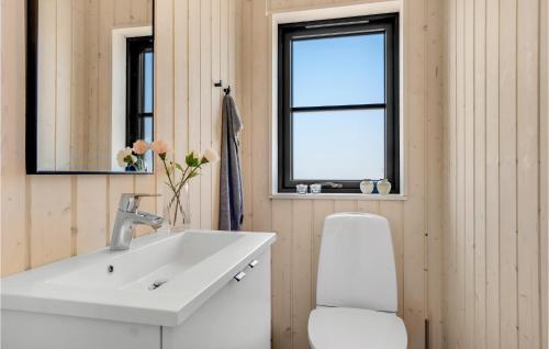 a bathroom with a sink and a toilet and a window at Pet Friendly Home In Hjrring With Wifi in Hjørring