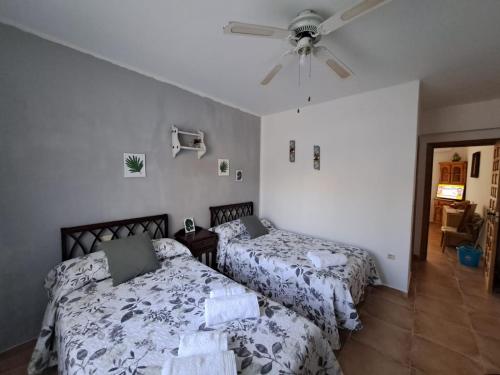 1 dormitorio con 2 camas y ventilador de techo en Casa Rochafrida, en Ossa de Montiel