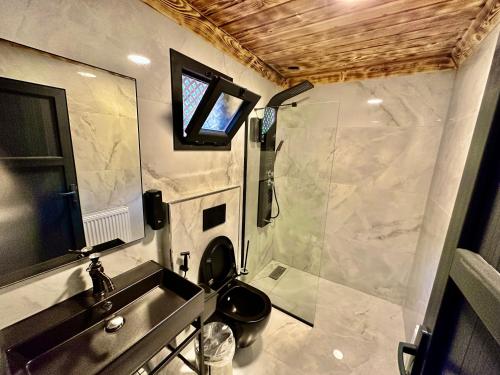 a bathroom with a toilet and a sink and a shower at TUVA VİLLA Bungalov in Çamlıhemşin