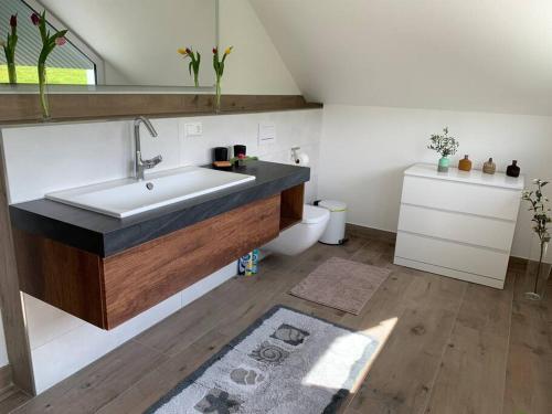 een badkamer met een wastafel en een toilet bij Wohnung am Fuße des Schwarzwalds in Oberkirch