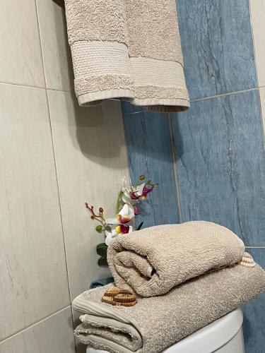a bathroom with towels on top of a toilet at Seaside House in Karianí