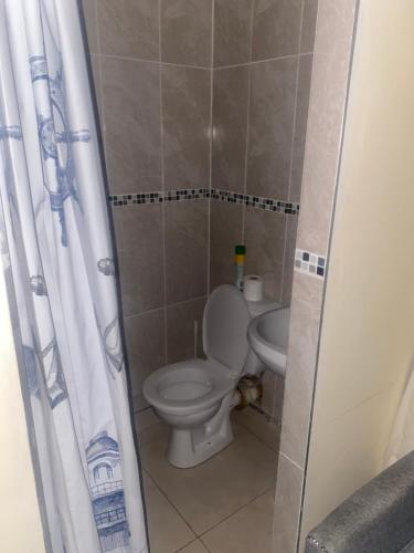 a bathroom with a toilet and a sink at Warmbaths Thai Spa and Guest House in Bela-Bela