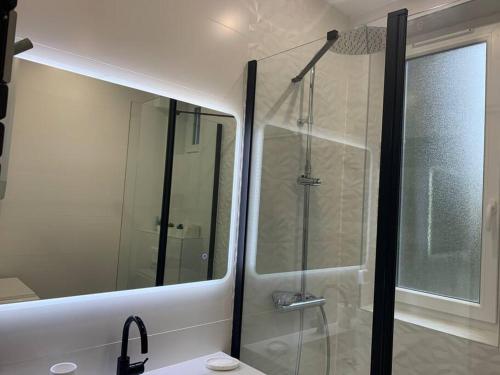 La salle de bains est pourvue d'une douche avec une porte en verre. dans l'établissement SAINT DENIS ELEGEANCE, à Saint-Denis