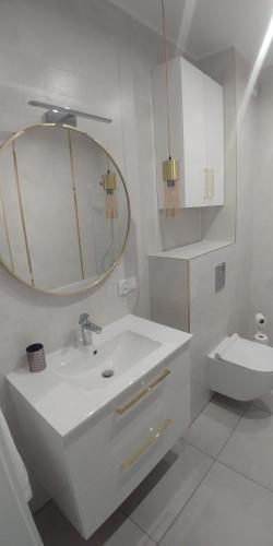 Ένα μπάνιο στο Apartament Wierzyca Pelplin