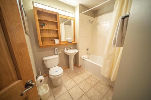 een badkamer met een toilet en een wastafel bij Buffalo Lodge 8320 in Keystone