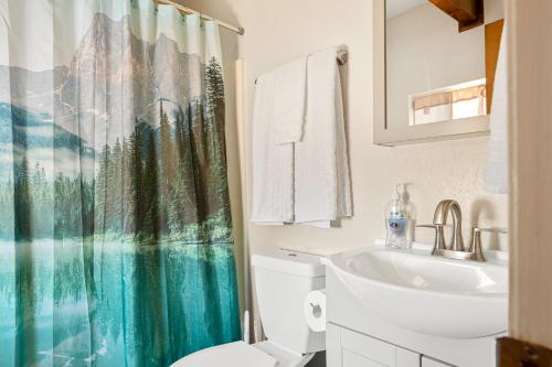 a bathroom with a toilet and a sink and a shower curtain at Peaceful 2 Bedroom Cabin Perfect for Families in Running Springs