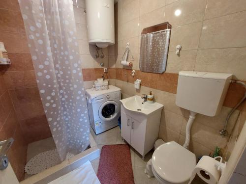 ein Badezimmer mit einem WC und einer Waschmaschine in der Unterkunft Ljubovic apartman in Podgorica