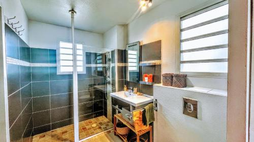 een badkamer met een douche en een wastafel bij Le Baileys - Spacieux appartement en rez-de-jardin vue lagon in Marigot