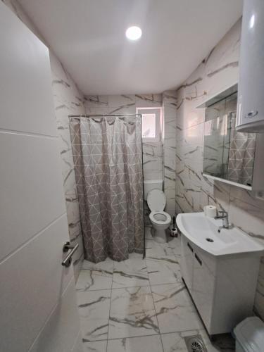 La salle de bains est pourvue d'une douche, de toilettes et d'un lavabo. dans l'établissement Apartmani Swiss LUX Pozarevac, à Požarevac