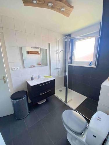 une salle de bain avec toilettes et lavabo dans l'établissement Logement idéal pour un séjour alsacien en amoureux, à Colmar