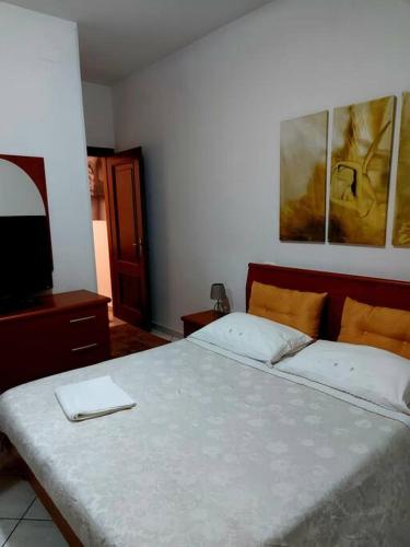 a bedroom with a bed and a tv on it at Delizioso appartamento centro storico, Frosinone in Frosinone