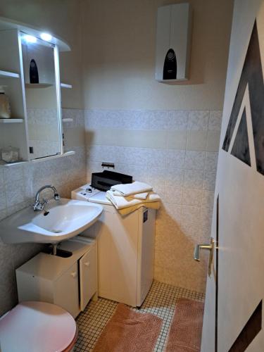 Kuchyň nebo kuchyňský kout v ubytování Seen- und Felsenland