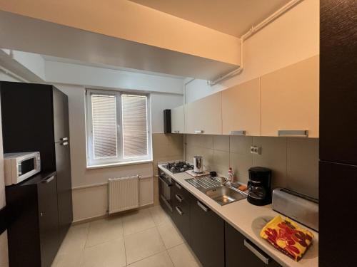 una piccola cucina con lavandino e bancone di Apartament Summerland Mamaia a Mamaia