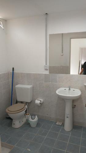 een badkamer met toilet en wastafel bij Los Cardones - Ruta40 in Chilecito