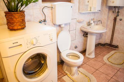 Koupelna v ubytování Petrov konak - apartman Aleksandra