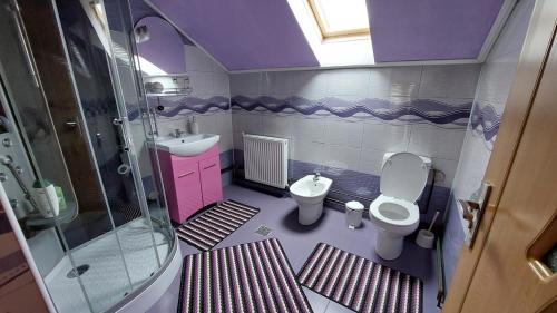 a small bathroom with a toilet and a sink at Vila Coman in Întorsura Buzăului