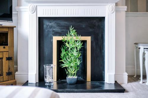 Worthington Terrace – Photos 2