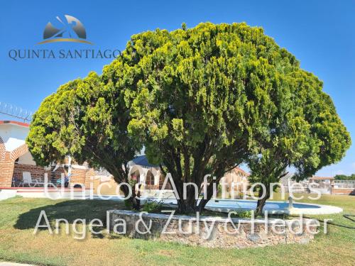 Quinta Santiago – Photos 3