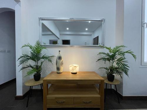 a room with a table with two plants and a mirror at DREAM RAMBLA in Santa Cruz de Tenerife