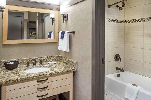 a bathroom with a sink and a tub and a mirror at Lied Lodge at Arbor Day Farm in Nebraska City