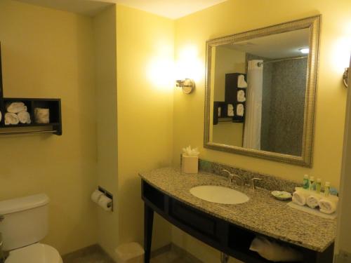 Ванная комната в Holiday Inn Express and Suites Saint Augustine North, an IHG Hotel