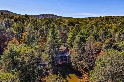 an aerial view of a house in the middle of a forest at Ivylog Creek Getaway - STR License #00,7980 in Young Harris