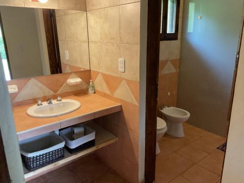 a bathroom with a sink and a toilet at Chalet Ailinco in Valle Grande