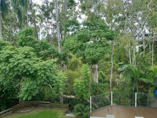 Taman di luar Adorable Private 2 bedroom Guest Suite + pool