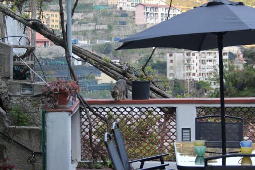 um gato sentado numa varanda com um guarda-chuva em Marella em Minori