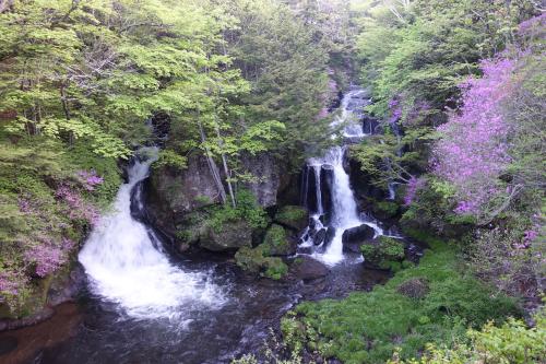 旅館の近くで見られる自然の景観