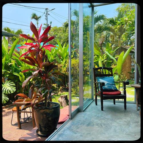 a porch with a potted plant and a chair at The Happy Bird B&B in Hoi An