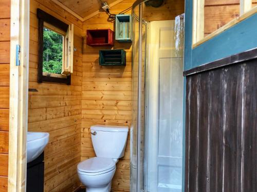 a bathroom with a toilet and a sink at Funky Bunky in Nelson