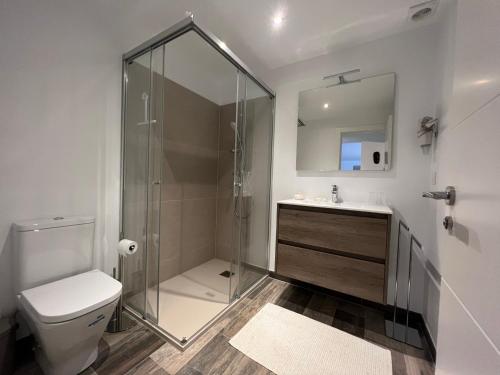 a bathroom with a shower and a toilet and a sink at Charmant T3 avec piscine et parking dans maison basque - FR-1-239-927 in Ciboure