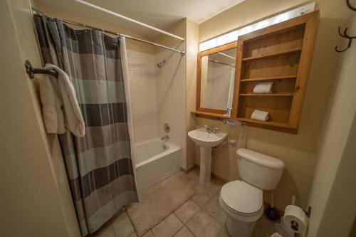 uma casa de banho com um WC e um lavatório em Buffalo Lodge 8381 em Keystone