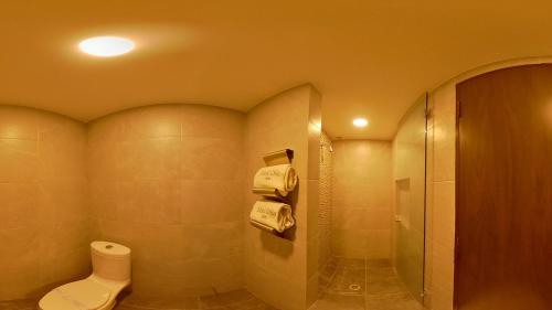a bathroom with a toilet and a shower at Hotel Oslo in Mexico City