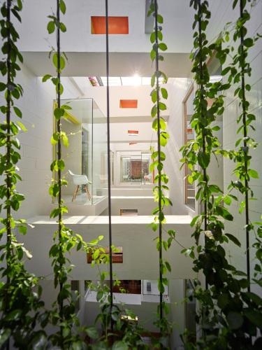 a room with a mirror and some plants at Lantern Hotel in Kuala Lumpur