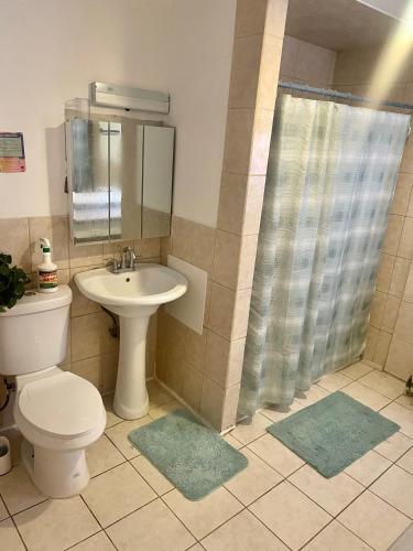 a bathroom with a toilet and a sink and a shower at Las margaritas in Allentown