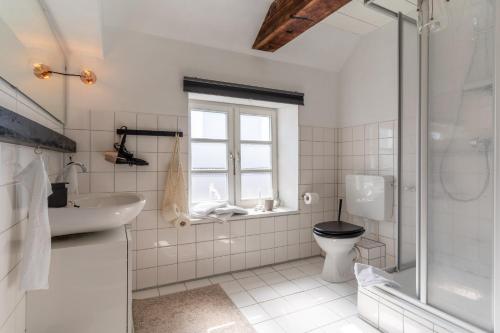 W łazience znajduje się toaleta, umywalka i prysznic. w obiekcie Dachstuv von Esmarch w mieście Tönning
