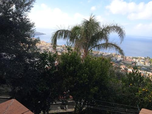 una palmera en la cima de una colina junto al océano en Blu lapislazzuli, en Sorrento